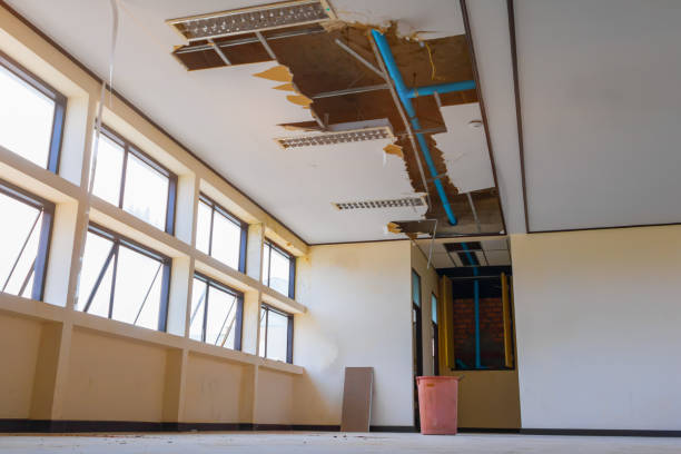 Best Mold removal after water damage  in Hartford, MI