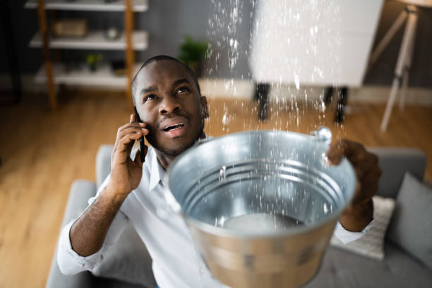 Best 24/7 water damage repair  in Hartford, MI