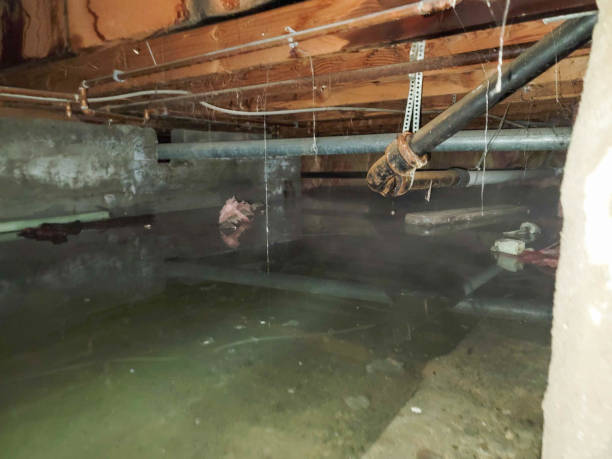 Best Water damage restoration near me  in Hartford, MI
