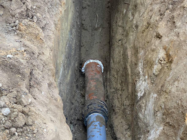 Best Professional water damage repair  in Hartford, MI