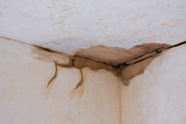 Best Water damage cleanup near me  in Hartford, MI