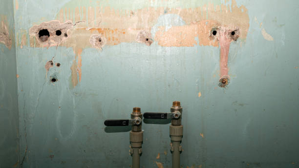 Best Basement water damage restoration  in Hartford, MI